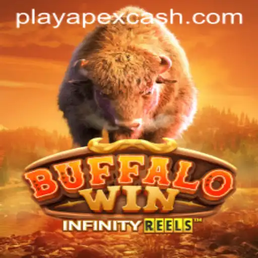 BuffaloWin: Harnessing the Power of the Plains with Apexcash